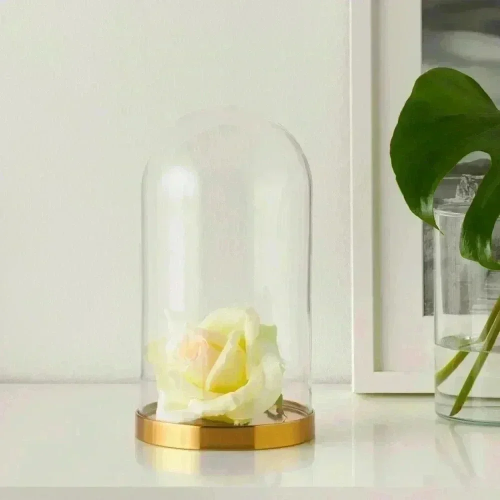 IKEA BEGÅVNING Glass Dome with Base – 10”